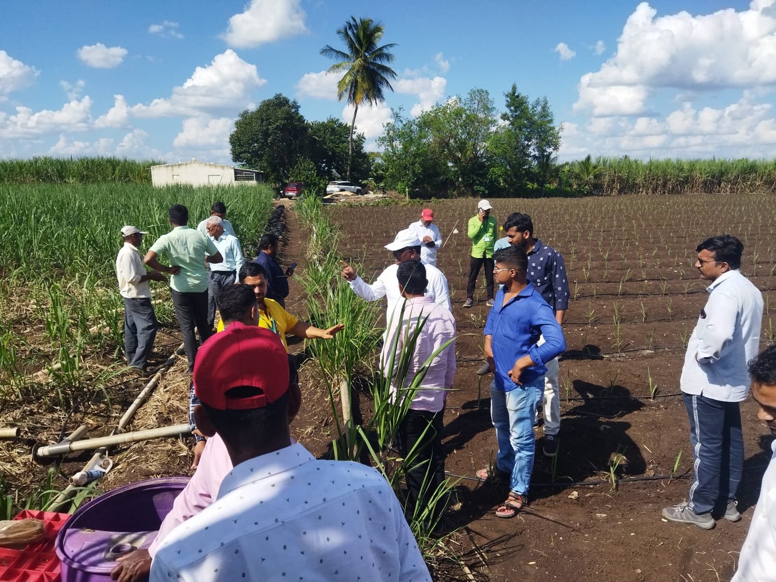 Farmer to Farmer Trust